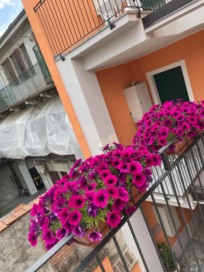 Residenza Nikol Appartement Casale Monferrato Buitenkant foto