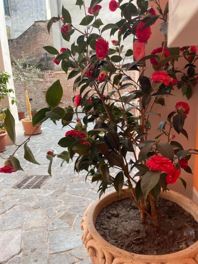 Residenza Nikol Appartement Casale Monferrato Buitenkant foto