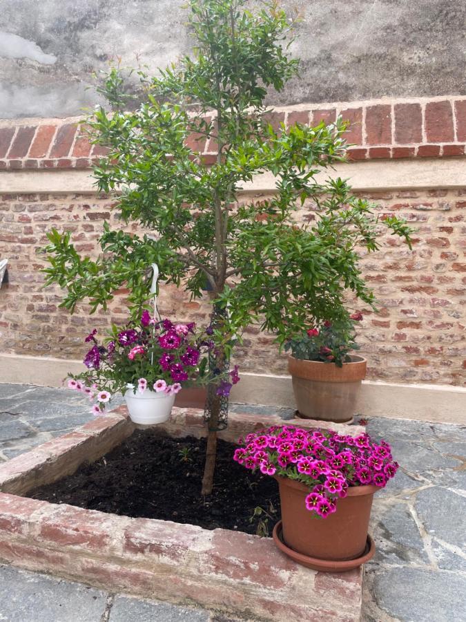 Residenza Nikol Appartement Casale Monferrato Buitenkant foto